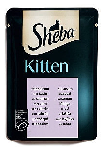 Sheba کتن سمك السلمون