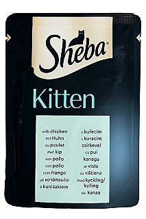 Sheba کتن دجاج