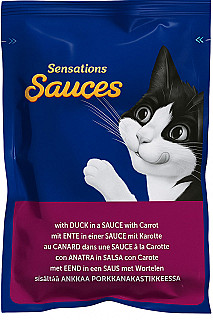 Felix بط في الصلصة