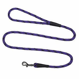 Leash