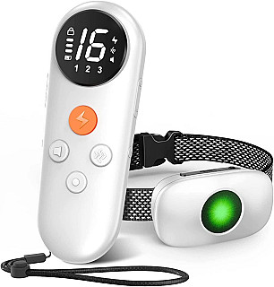 کۆلاری دژە وەرین