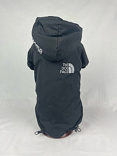 THE DOG FACE Kıyafetler