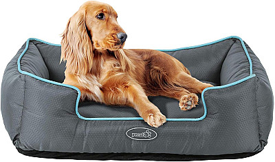 Pecute Evcil Hayvan Yatağı