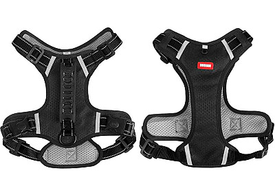 هارنێسی سەگ