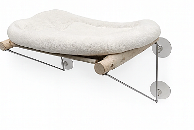 هموک پنجره‌ای گربه