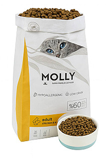 Molly دجاج و أنشوجة فل