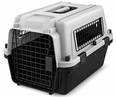 Pet Carrier Box