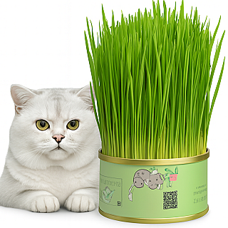 Cat Grass Can #1