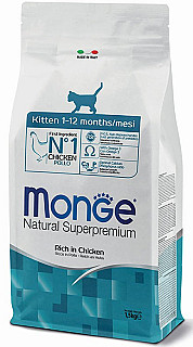 Monge بچه گربه مرغ