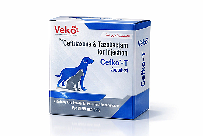 VEKO Cefko-T Injection