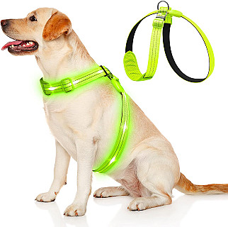 هارنێسی لید