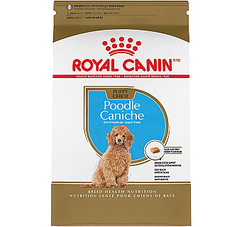 Royal Canin پودل سەگی بچووک
