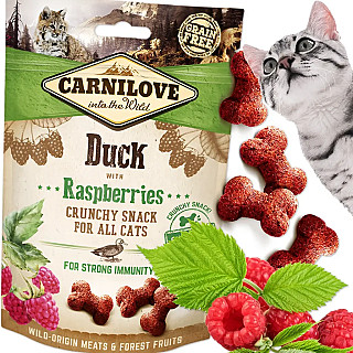 Carnilove Ördek ve Ahududu