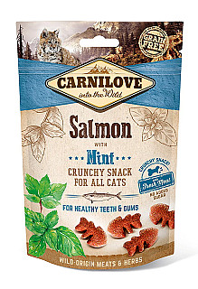 Carnilove Somon ve Nane