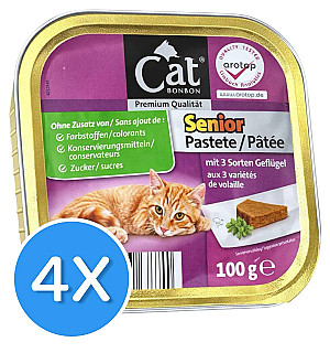 Cat Bonbon مرغداری سالمندان