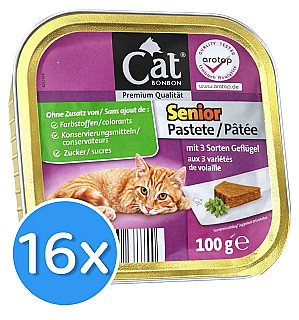 Cat Bonbon مرغداری سالمندان