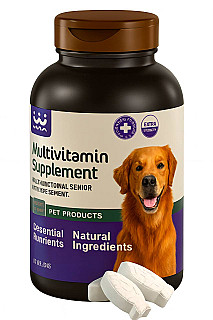Multivitamin Supplement