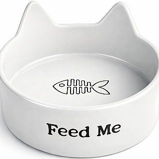 کاسه سرامیکی