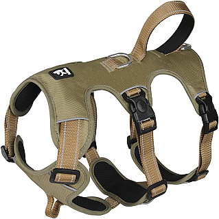 Taktik Köpek Tasması