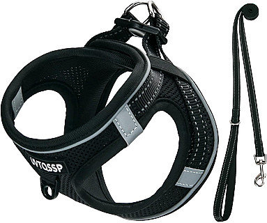 قلاده و مهار