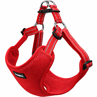 مهار حیوان خانگی