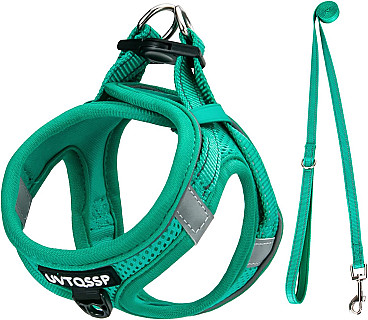 قلاده و مهار🐾✨ Leash & Harness Set – Size S Keep your small pets safe, stylish, and comfortable with the Leash & Harness Set – Size S 💚. Designed with padded breathable mesh fabric 🌬️ and ref