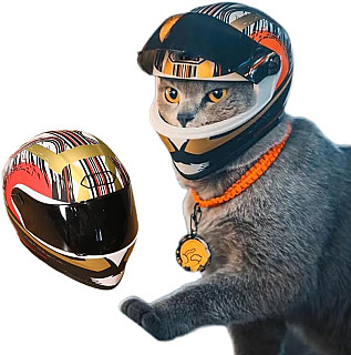 Pet Helmet