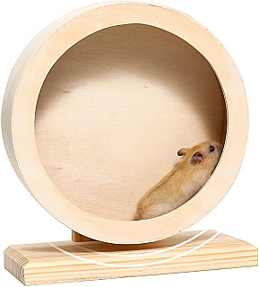 Hamster Exercise Wheel