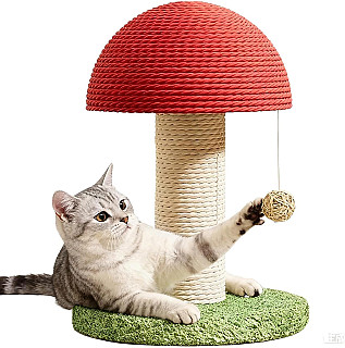 درخت خراشنده گربه