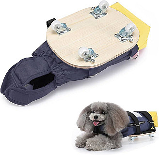 کورسی کەمئەندامان