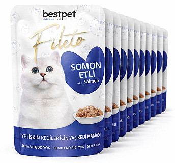 Bestpet سەلەمۆن