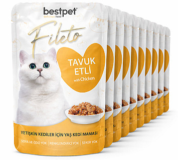 Bestpet مریشک