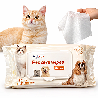 Cleaning Wipes