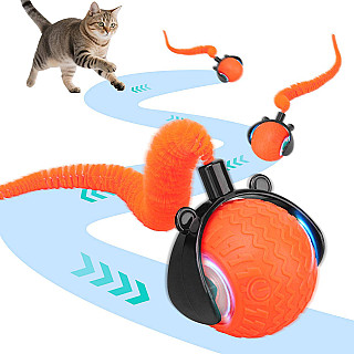 Interactive Cat Toy