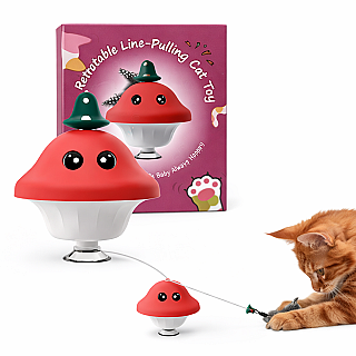 Interactive Cat Toy