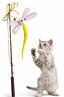 Stick Toy