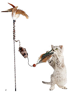 Stick Toy