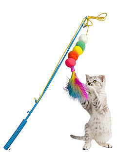 Stick Toy