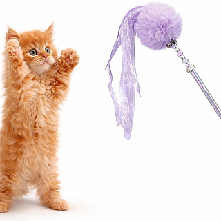 Stick Toy