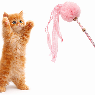Stick Toy