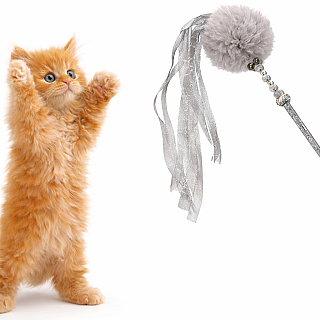 Stick Toy