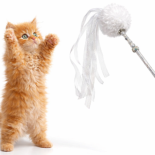 Stick Toy