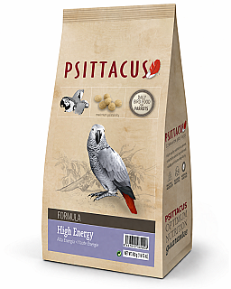 Psittacus Parrot High Energy