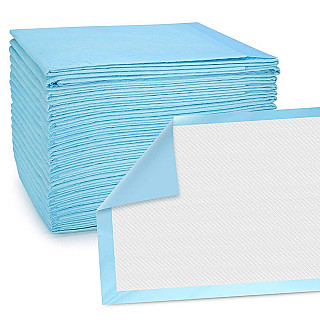 Hygiene & Pee Pad