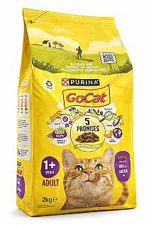 Purina One Chicken & Duck