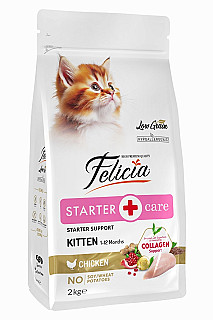Felicia Kitten Chicken
