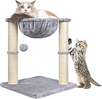 Cat Scratcher & Bed