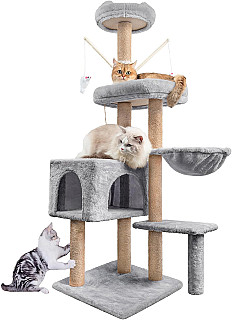 Cat Scratcher & Bed