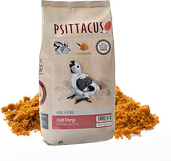 Psittacus High Energy