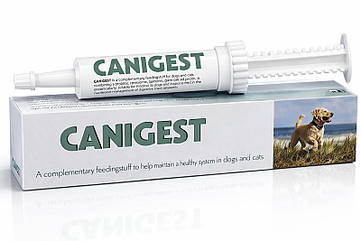 Canigest Probiotic Paste